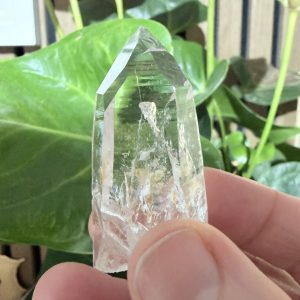 AAA Grade Lemurian Seed Quartz