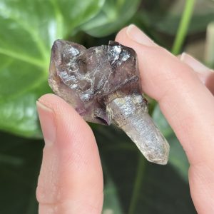 Sceptre Shangaan Amethyst