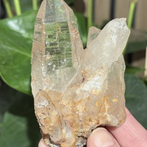 Himalayan Quartz Cluster