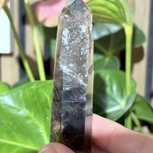 Smoky Quartz
