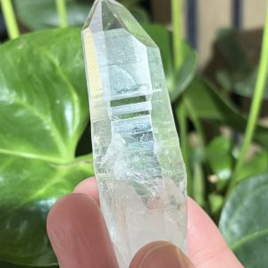 AAA Grade Lemurian Seed Quartz