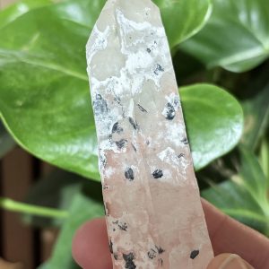 Mongolian Lemurian Quartz